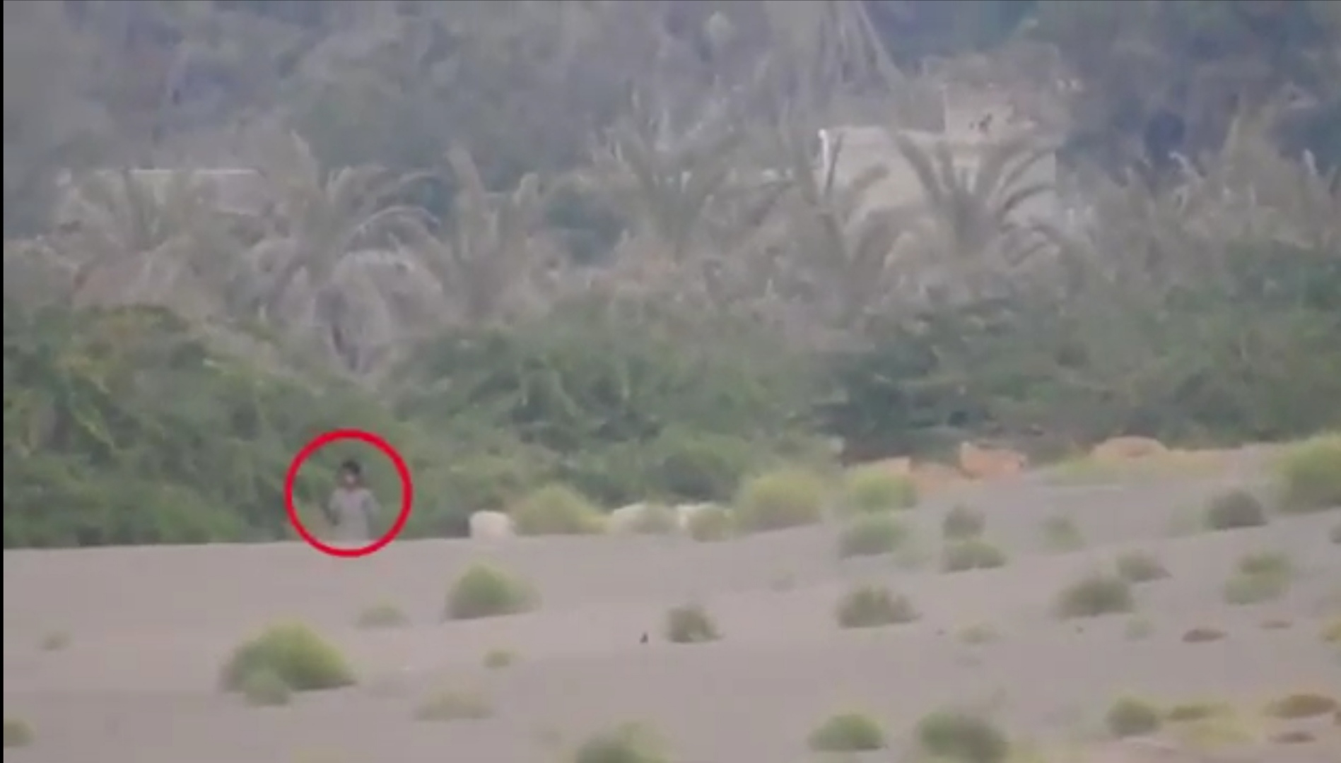 بالفيديو.. مكافحة القناصة بالقوات المشتركة تقضي على قناص حوثي