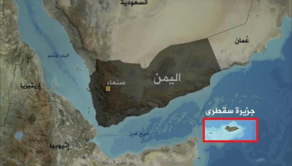 مسؤول حكومي يكشف عن مخطط جديد لإسقاط جزيرة سقطرى