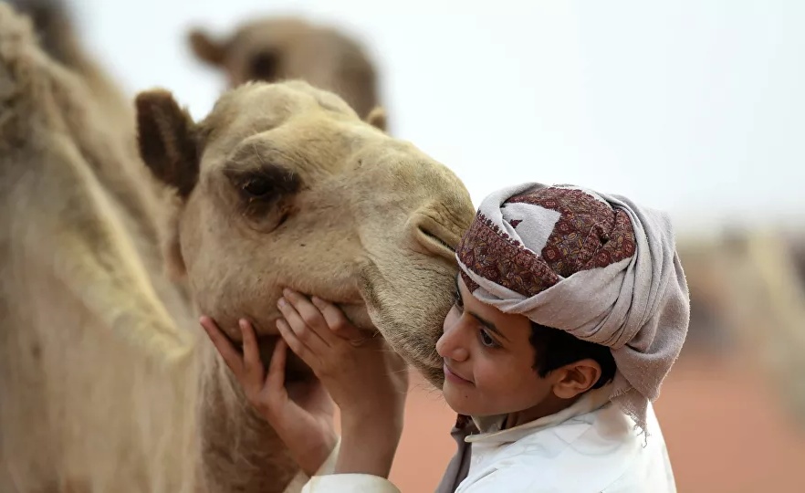 قرار سعودي بعد إطلاق النار في مهرجان الملك عبد العزيز للإبل