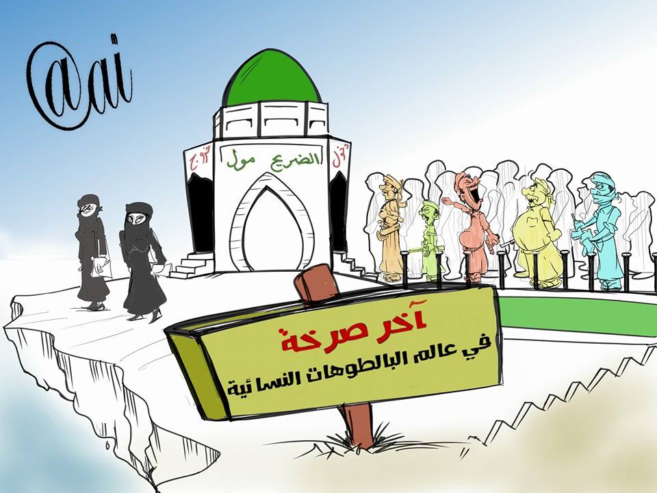كاريكاتير : الحوثيون يلبسون الشراشف  - بريشة المبدع محمد المجيدي 