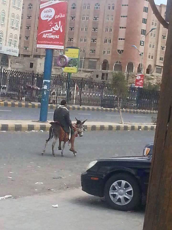 بالصورة.. الحمير تعود إلى شوارع العاصمة صنعاء
