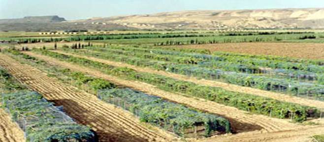 اليمن توقع اتفاق لتوريد300 دراسة زراعية بقيمة 1.377 مليون دولار