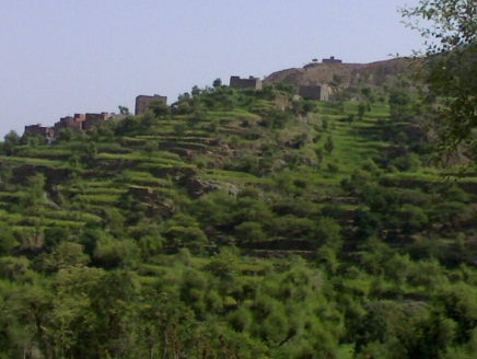 صورة من مديرية شرعب بمحافظة تعز