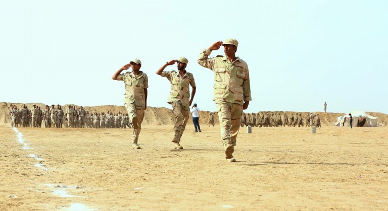 مناورة عسكرية استعراضية للمنطقة العسكرية الخامسة في «ميدي» بحضور