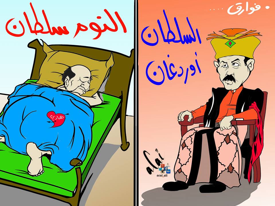 كاريكاتير : «فوارق» رجب طيب اردوغان وعبدربه منصور هادي