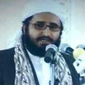 الشيخ محمد موسى العامري
