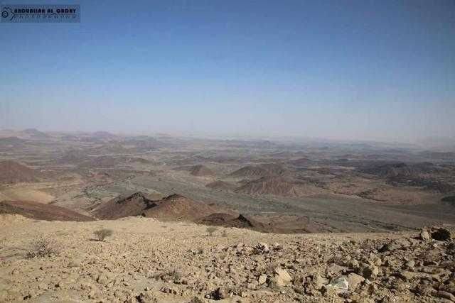 عاجل.. الجيش يسيطر على أجزاء كبيرة من سلسلة جبال هيلان بصرواح ويتقدم في نهم