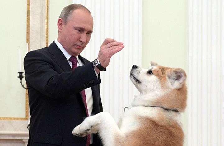 «الكلب».. مرافق بوتين المفضل عند استقبال «الزعماء» (فيديو)