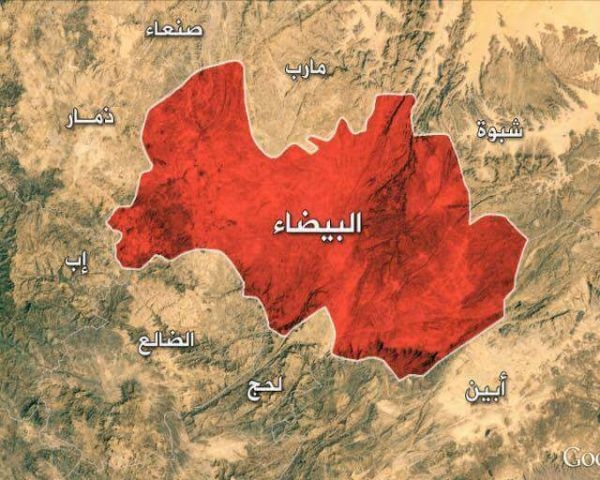 البيضاء..الجيش يقتل عدد من عناصر المليشيا الحوثية ويدعو الصليب الأحمر لانتشال الجثث